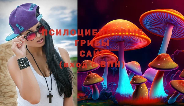 синтетический гашиш Абинск