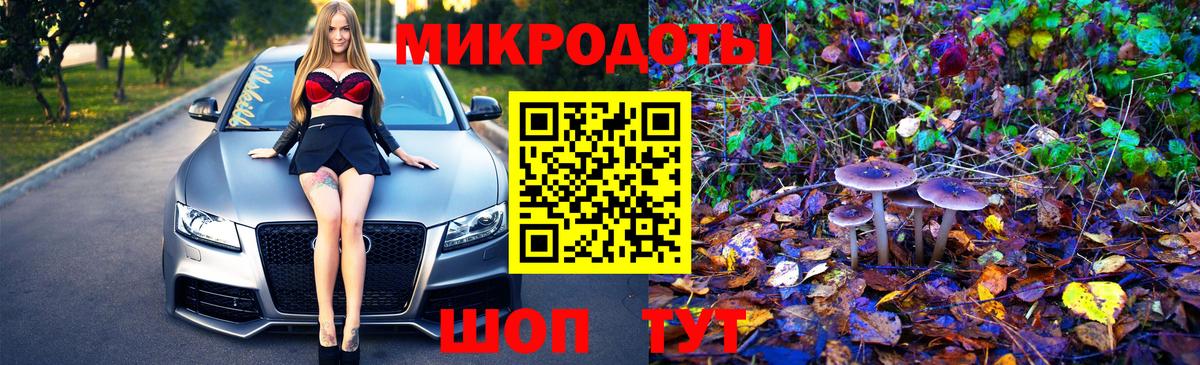 Псилоцибиновые грибы Cubensis Якутск